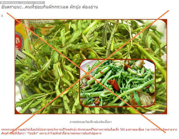 ไข่ปลิงในผักบุ้ง ไข่ปลิงในผักบุ้ง