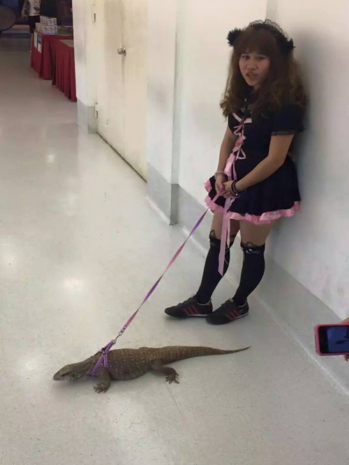 สาวจูงตะกวดเดินเล่นกลางห้าง ผู้คนแห่แชะภาพคู่ สาวจูงตะกวดเดินเล่นกลางห้าง ผู้คนแห่แชะภาพคู่