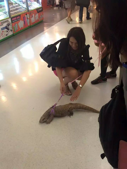 สาวจูงตะกวดเดินเล่นกลางห้าง ผู้คนแห่แชะภาพคู่ สาวจูงตะกวดเดินเล่นกลางห้าง ผู้คนแห่แชะภาพคู่