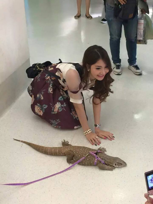 สาวจูงตะกวดเดินเล่นกลางห้าง ผู้คนแห่แชะภาพคู่ สาวจูงตะกวดเดินเล่นกลางห้าง ผู้คนแห่แชะภาพคู่