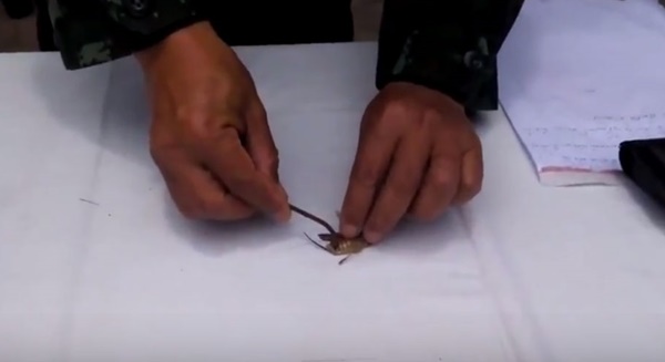 คลิปเตือนคนชอบกินแมลงทอด นี่อาจทำให้คุณสยองหนักมาก คลิปเตือนคนชอบกินแมลงทอด นี่อาจทำให้คุณสยองหนักมาก