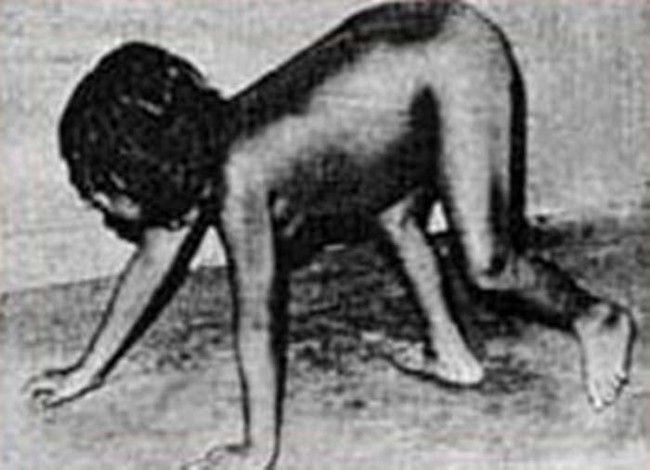 เปิดแฟ้มเรื่องแปลก 7 ลูกมนุษย์ที่เติบโตด้วยการเลี้ยงดูจากสัตว์ เปิดแฟ้มเรื่องแปลก 7 ลูกมนุษย์ที่เติบโตด้วยการเลี้ยงดูจากสัตว์