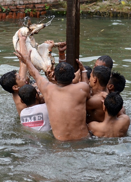 เทศกาลรุมทึ้งลูกแพะ เทศกาลรุมทึ้งลูกแพะ