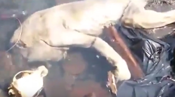 ซูปาคาบรา ซูปาคาบรา