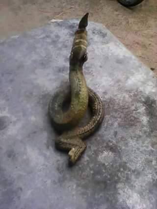 แชร์ว่อนร้อยเอ็ด ทอดแหเจอ แชร์ว่อนร้อยเอ็ด ทอดแหเจอ