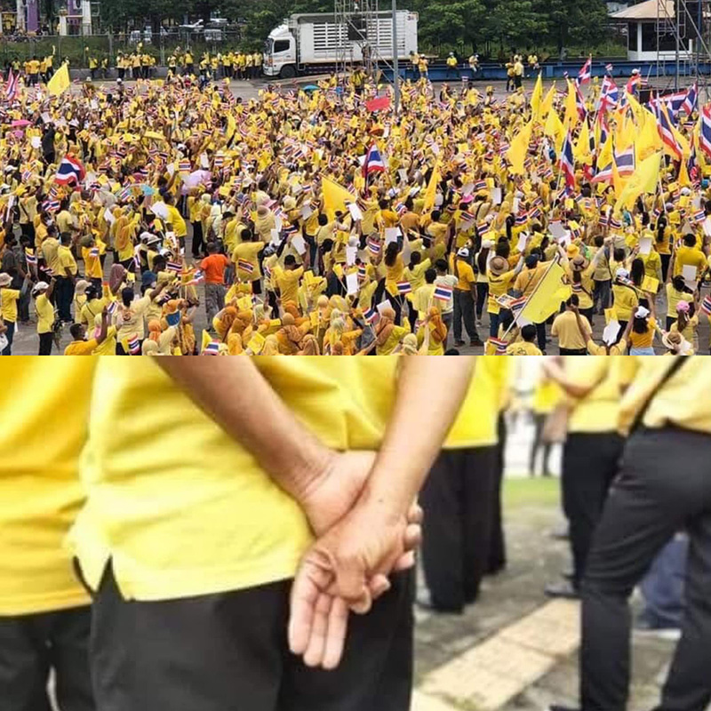 หนุ่มร่วมขบวนเสื้อเหลือง หนุ่มร่วมขบวนเสื้อเหลือง