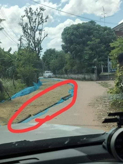 ชาวนาตากข้าวบนถนน ชาวนาตากข้าวบนถนน