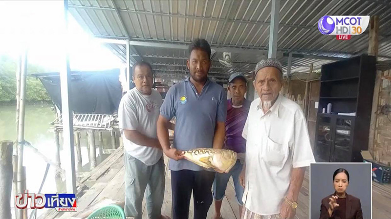 ปลาหน้าคน ปลาหน้าคน