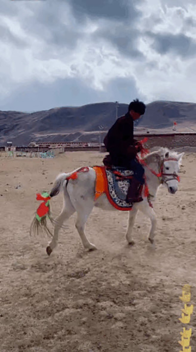 หนุ่มงานดี หนุ่มงานดี