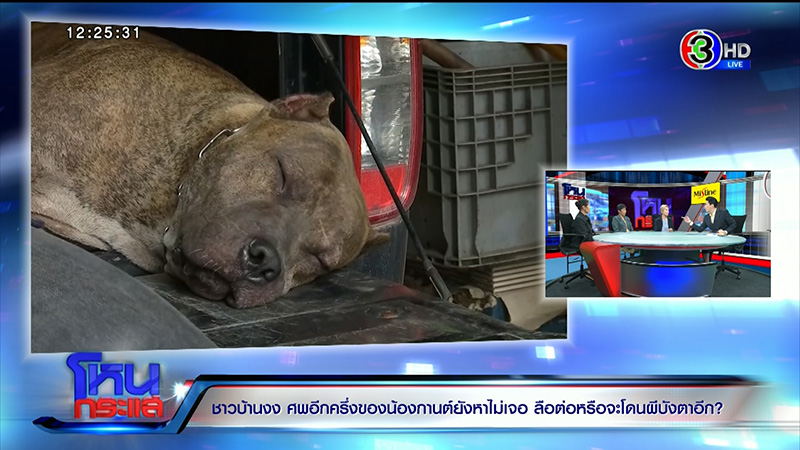 ภาพข่าวน้องกานต์ ภาพข่าวน้องกานต์