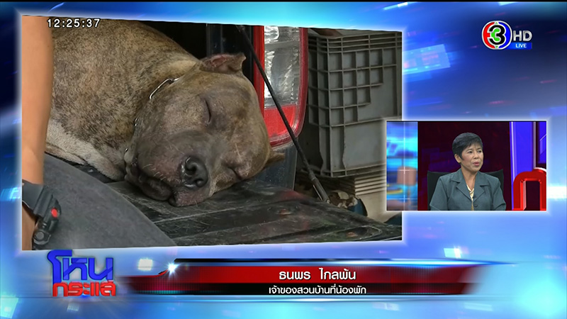 ภาพข่าวน้องกานต์ ภาพข่าวน้องกานต์