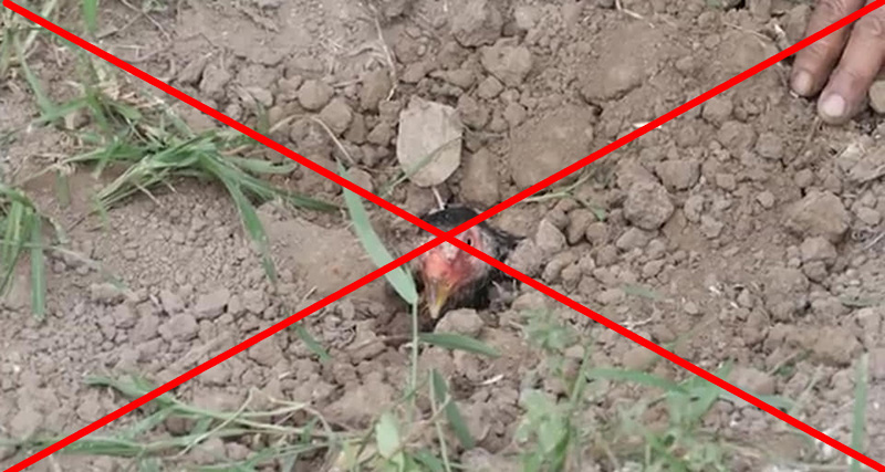 ภาพข่าว WDT ภาพข่าว WDT