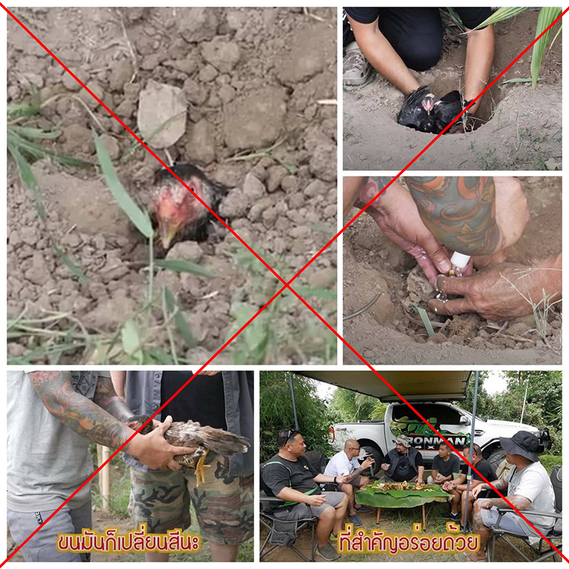 ภาพข่าว WDT ภาพข่าว WDT