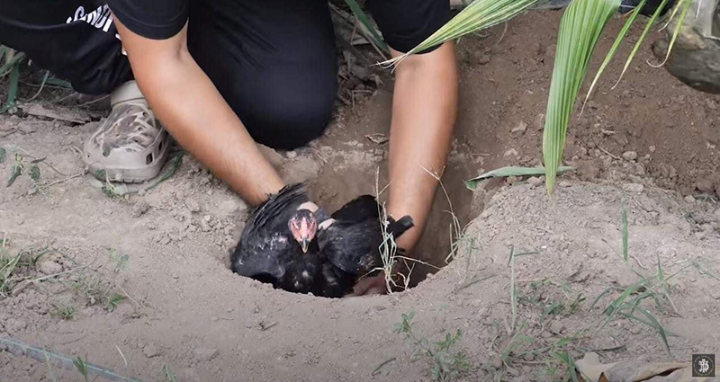 ภาพข่าว WDT ภาพข่าว WDT