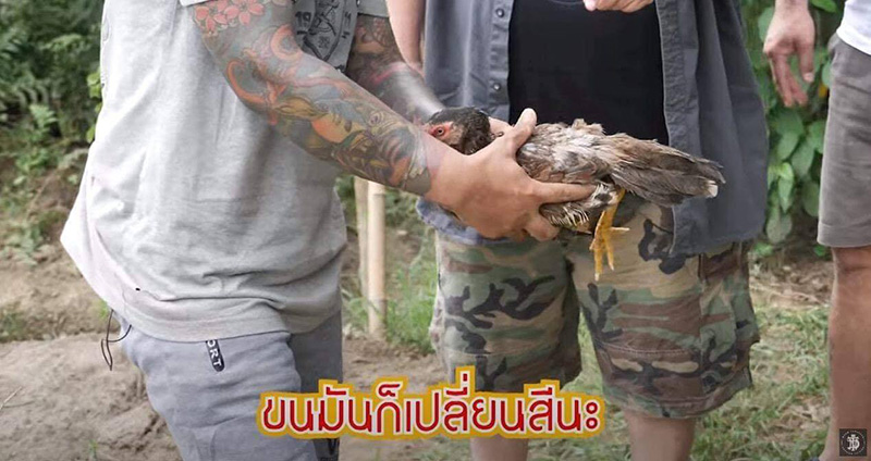 ภาพข่าว WDT ภาพข่าว WDT