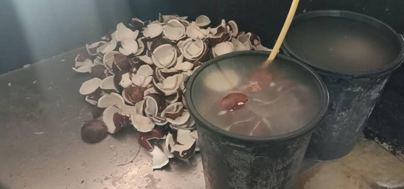 โรงงานเส้นหมี่ โรงงานเส้นหมี่