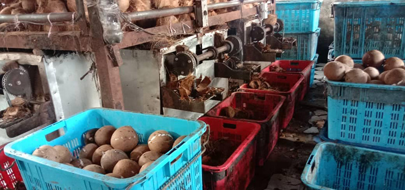 โรงงานเส้นหมี่ โรงงานเส้นหมี่