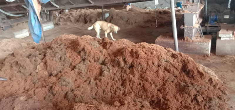 โรงงานเส้นหมี่ โรงงานเส้นหมี่