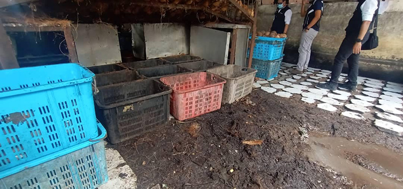 โรงงานเส้นหมี่ โรงงานเส้นหมี่