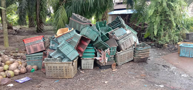 โรงงานเส้นหมี่ โรงงานเส้นหมี่