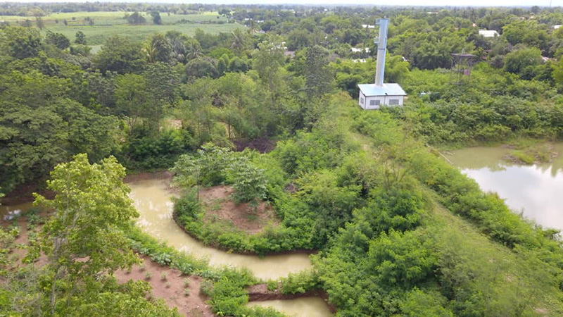 ภาพข่าว หมีควาย ภาพข่าว หมีควาย