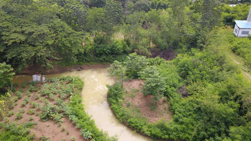 ภาพข่าว หมีควาย ภาพข่าว หมีควาย