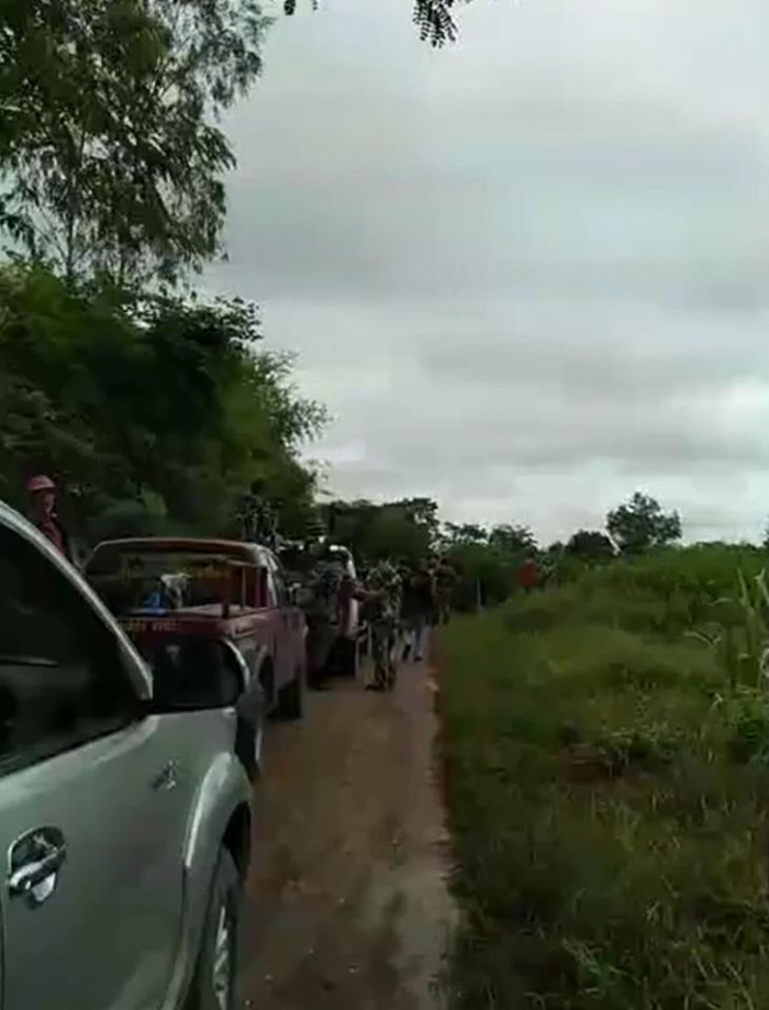 ภาพข่าว หมีควาย ภาพข่าว หมีควาย