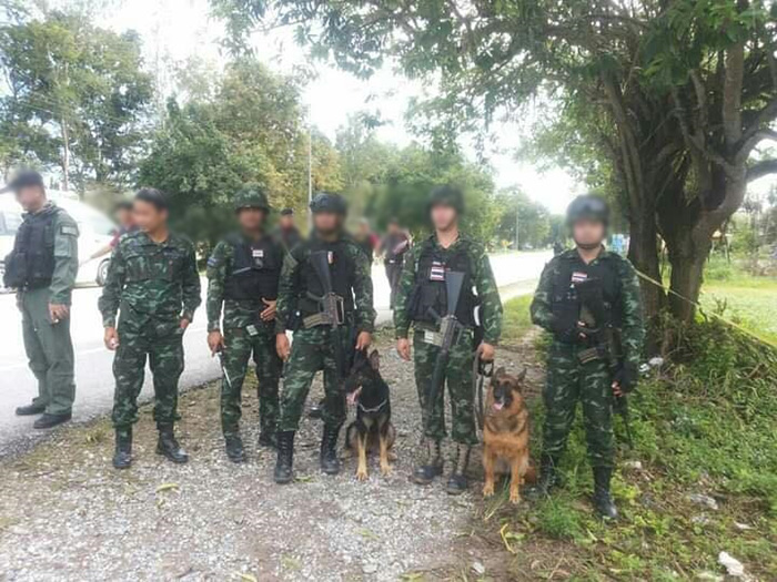 สุนัขทหาร สุนัขทหาร