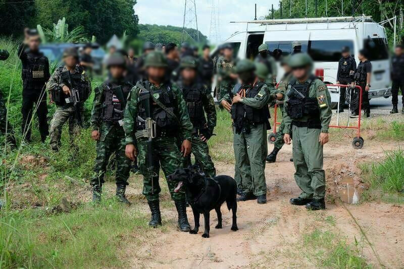 สุนัขทหาร สุนัขทหาร