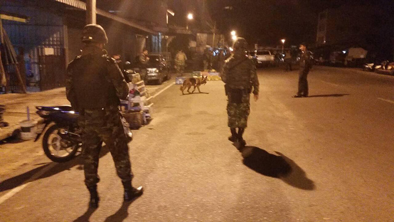 สุนัขทหาร สุนัขทหาร