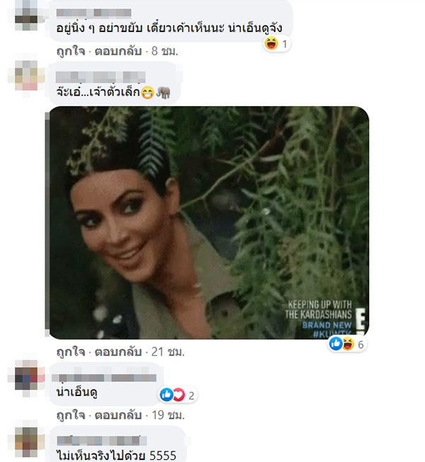 โซเชียลสุดเอ็นดูลูกช้าง โซเชียลสุดเอ็นดูลูกช้าง
