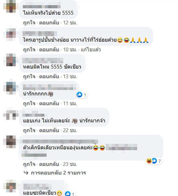 โซเชียลสุดเอ็นดูลูกช้าง โซเชียลสุดเอ็นดูลูกช้าง