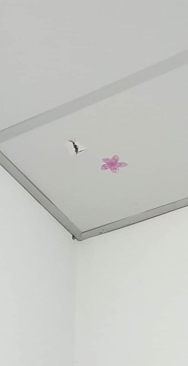 กระสุนปริศนาเจาะหลังคาบ้าน กระสุนปริศนาเจาะหลังคาบ้าน