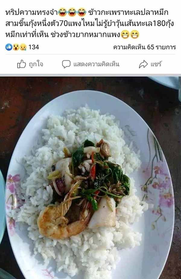 กะเพราทะเล กะเพราทะเล