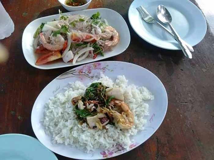 กะเพราทะเล กะเพราทะเล