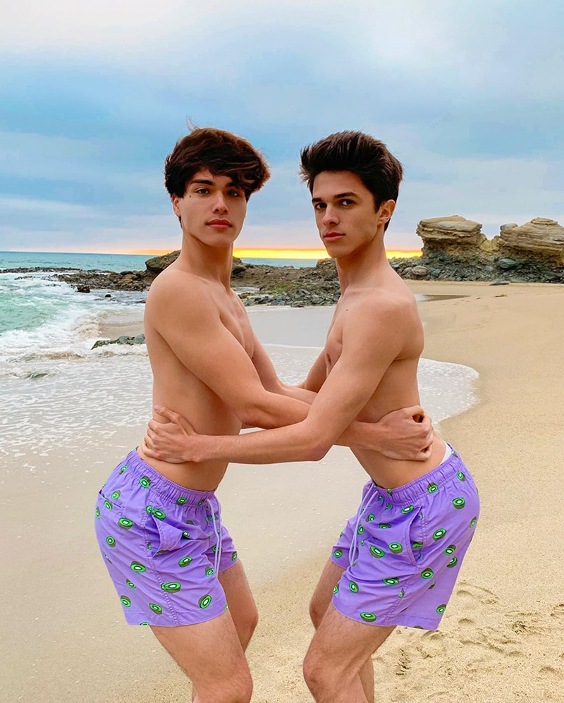 แฝดหนุ่ม แฝดหนุ่ม