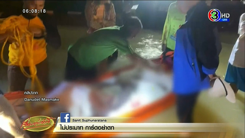 ตาย 5 ศพ ตาย 5 ศพ