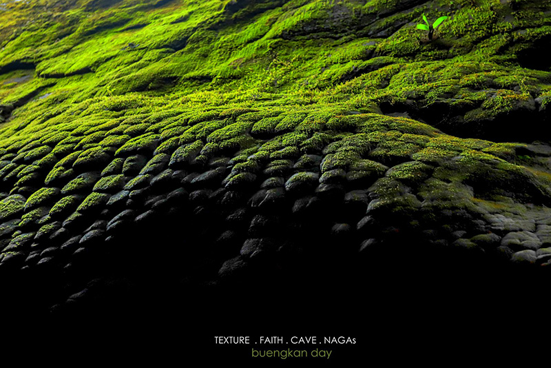 หินหัวงูยักษ์ หินหัวงูยักษ์