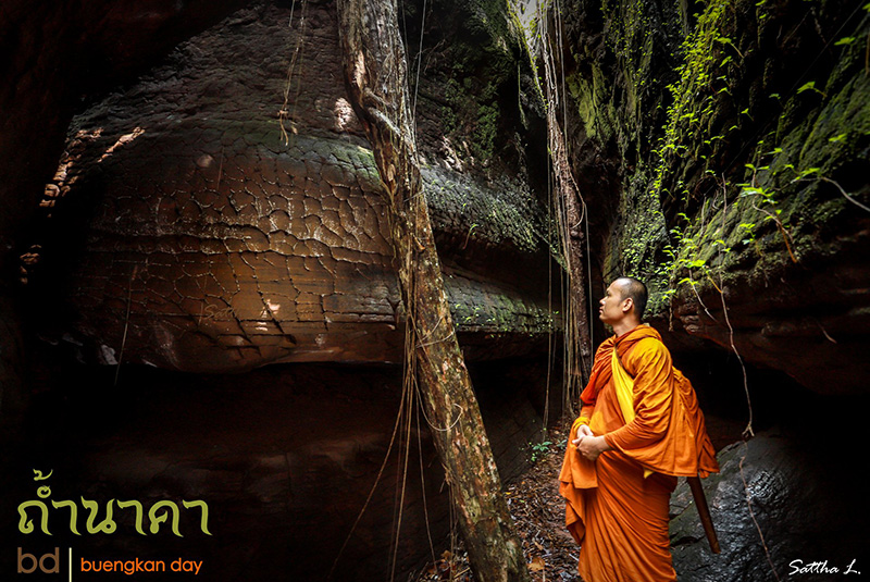 หินหัวงูยักษ์ หินหัวงูยักษ์