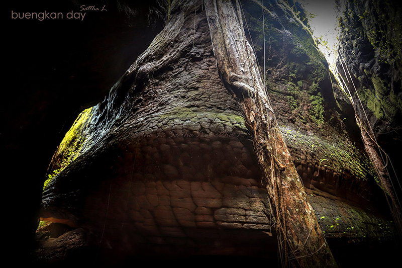 หินหัวงูยักษ์ หินหัวงูยักษ์