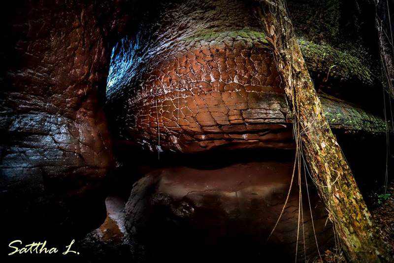 หินหัวงูยักษ์ หินหัวงูยักษ์