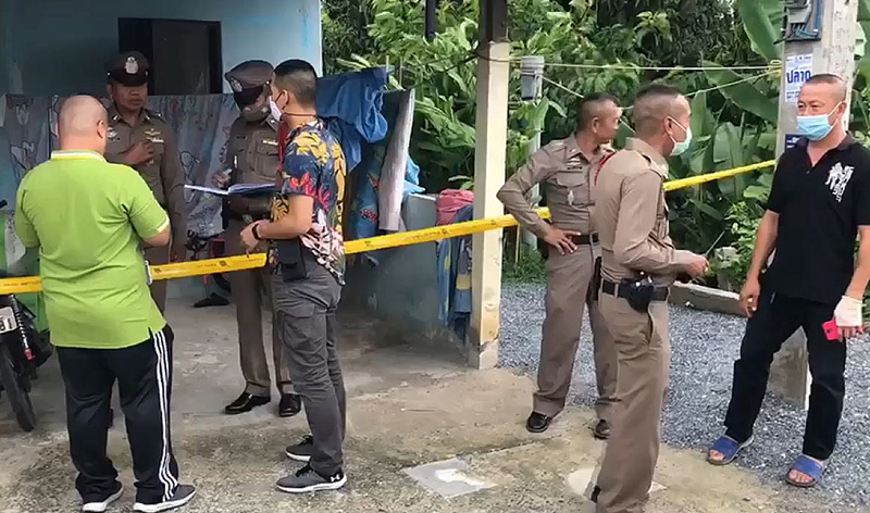 ภาพข่าว ต่าย ป่าโมก ภาพข่าว ต่าย ป่าโมก