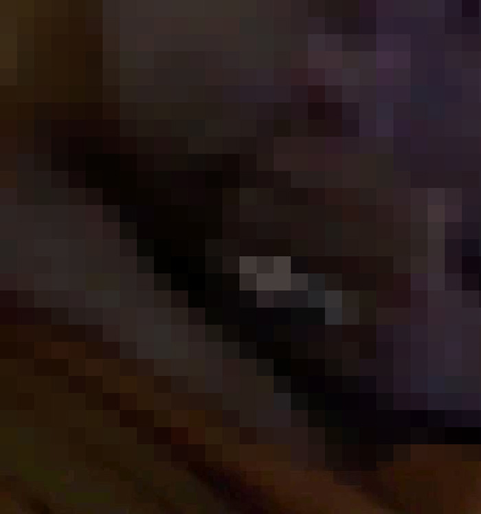 พระปลัดแบล็กเมล์หลวงพ่อ พระปลัดแบล็กเมล์หลวงพ่อ