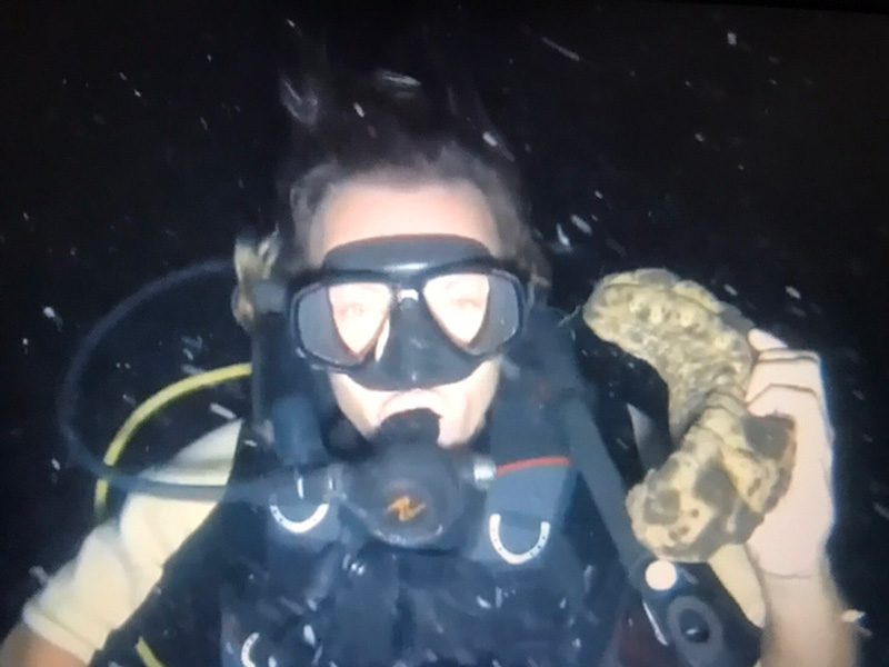 2 ฝรั่งดำน้ำ 2 ฝรั่งดำน้ำ