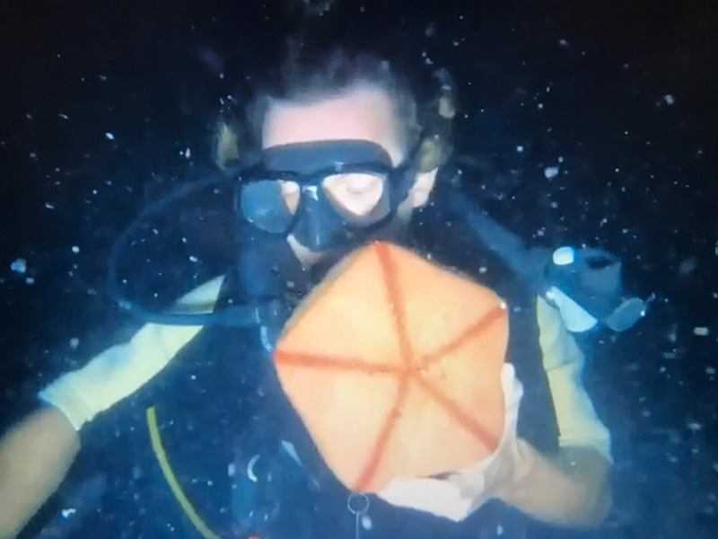 2 ฝรั่งดำน้ำ 2 ฝรั่งดำน้ำ