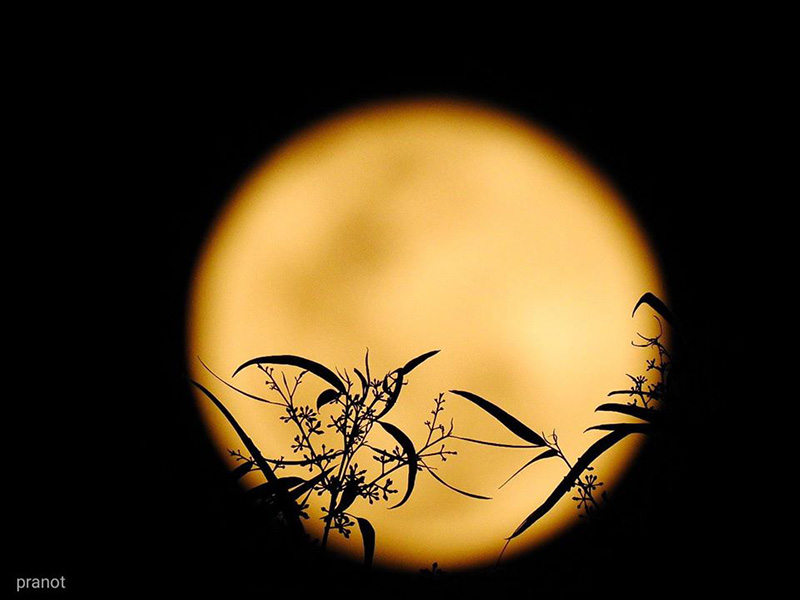 Super Full Moon Super Full Moon