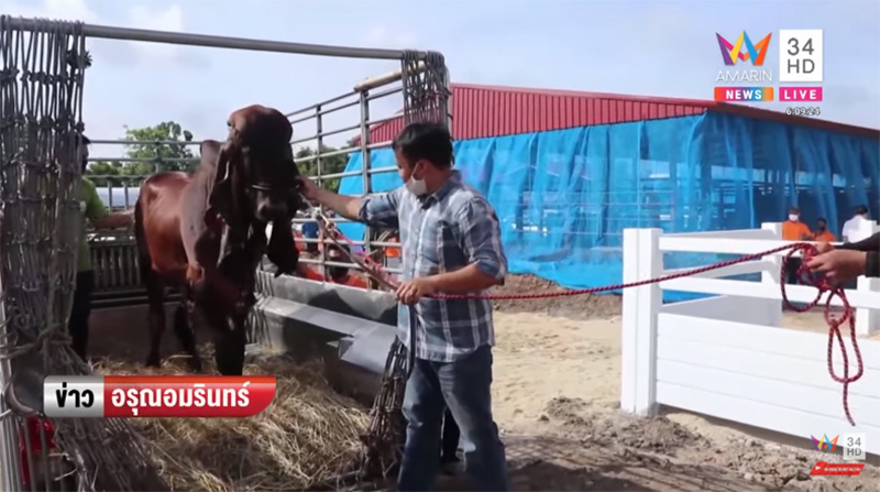 ภาพข่าวเจ้าดวงตะวัน ภาพข่าวเจ้าดวงตะวัน