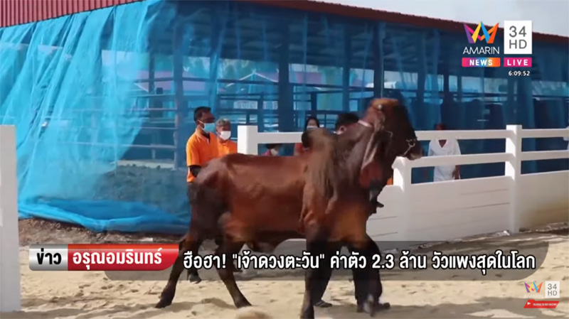 ภาพข่าวเจ้าดวงตะวัน ภาพข่าวเจ้าดวงตะวัน