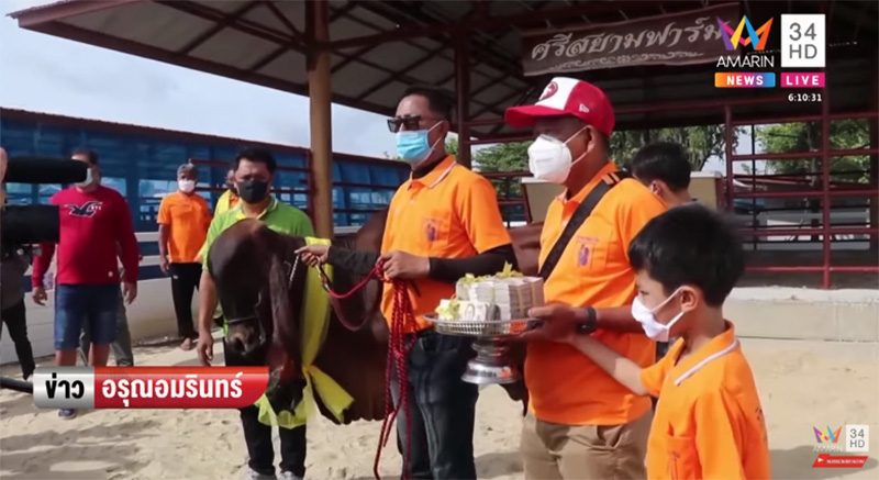 ภาพข่าวเจ้าดวงตะวัน ภาพข่าวเจ้าดวงตะวัน