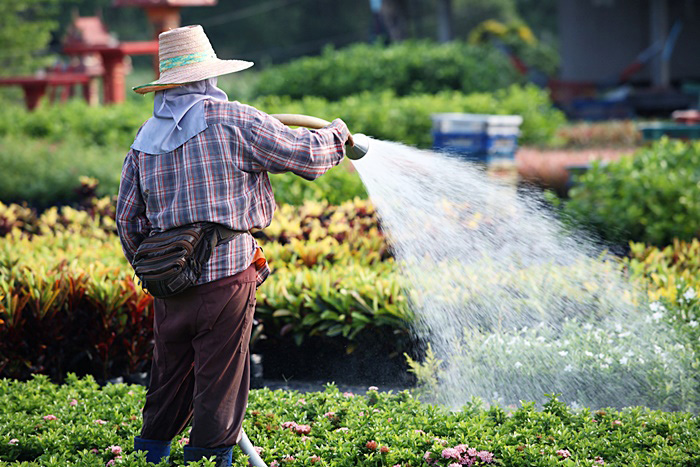 ภาพข่าวช่วยเกษตรกร ภาพข่าวช่วยเกษตรกร
